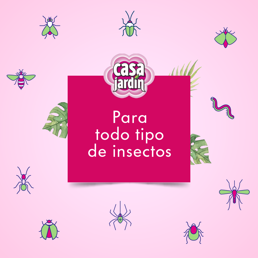 Casa Jardín, per tutti i tipi di insetti